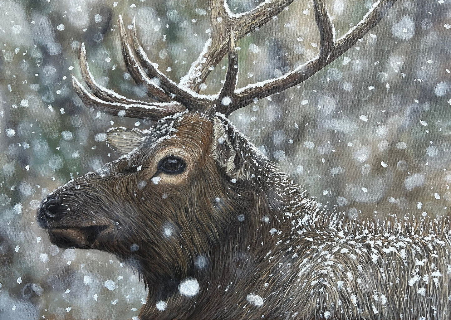 “Winter's Peace” 11x14 Print