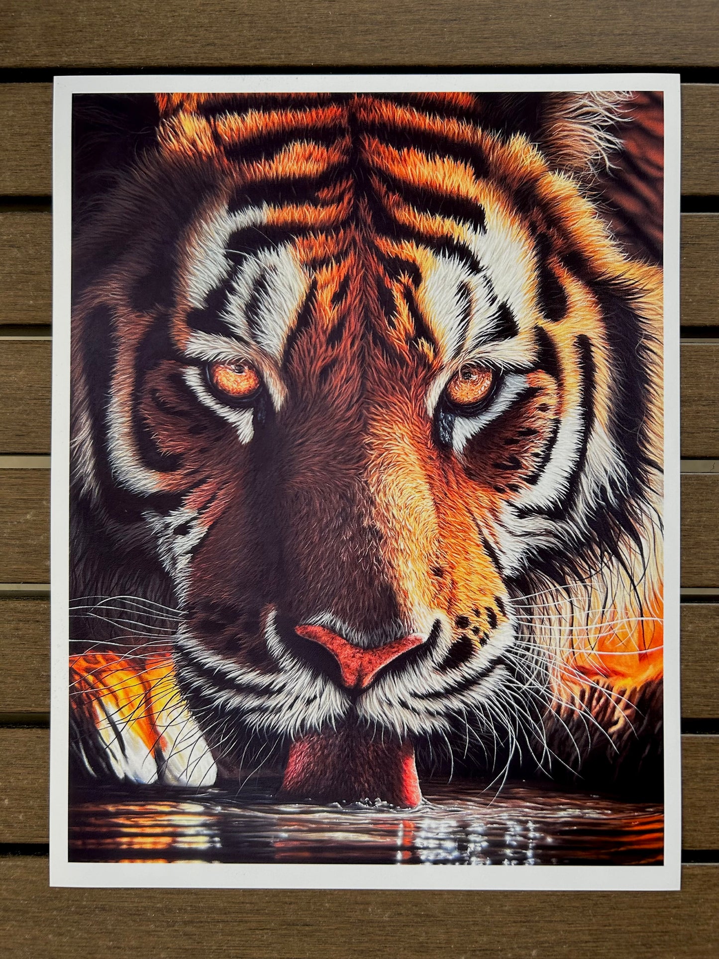 “Tiger Thirst” Print