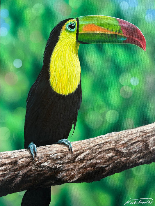 “Tranquil Toucan” Original Painting