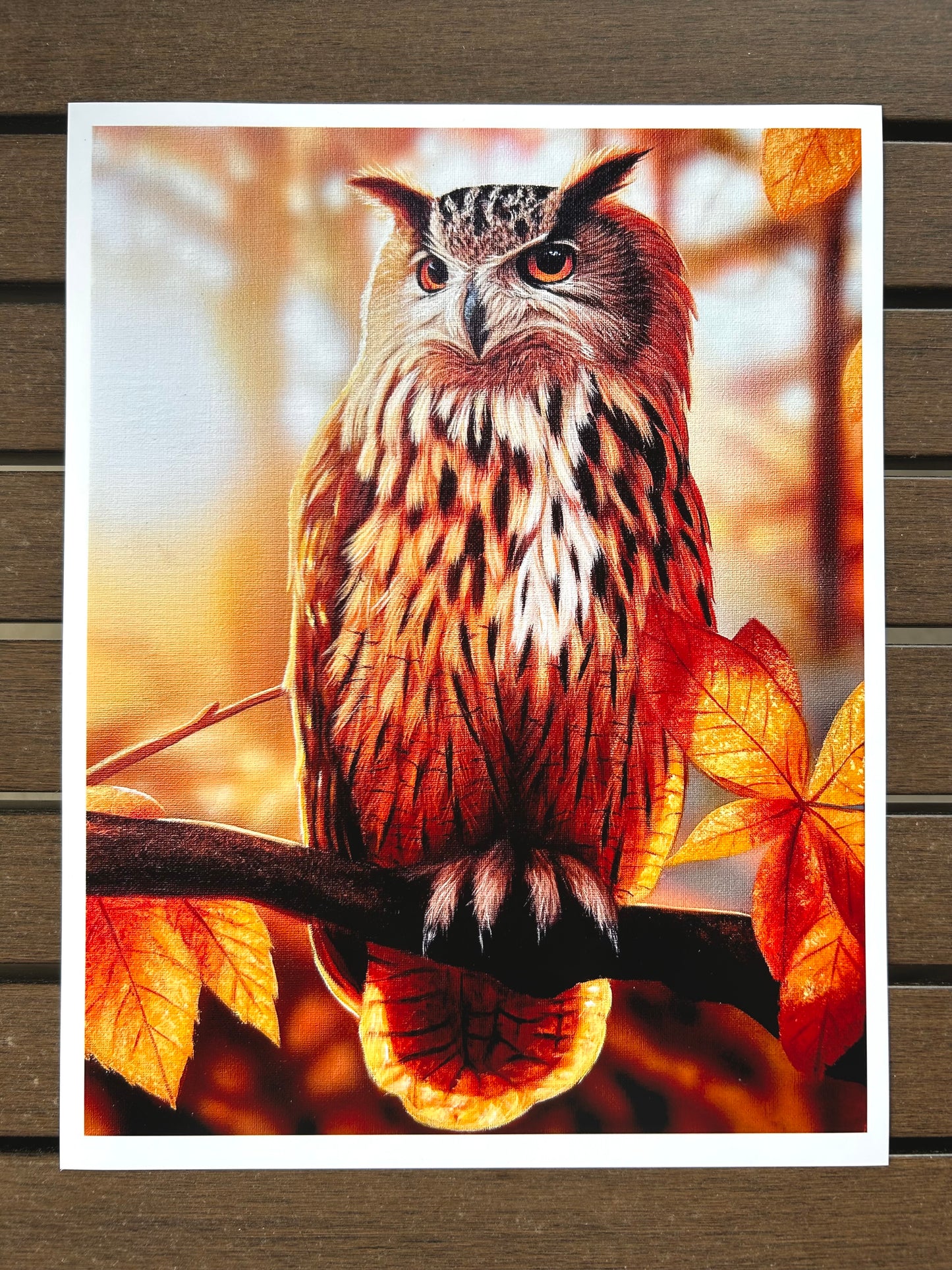 “Autumn Owl” Print