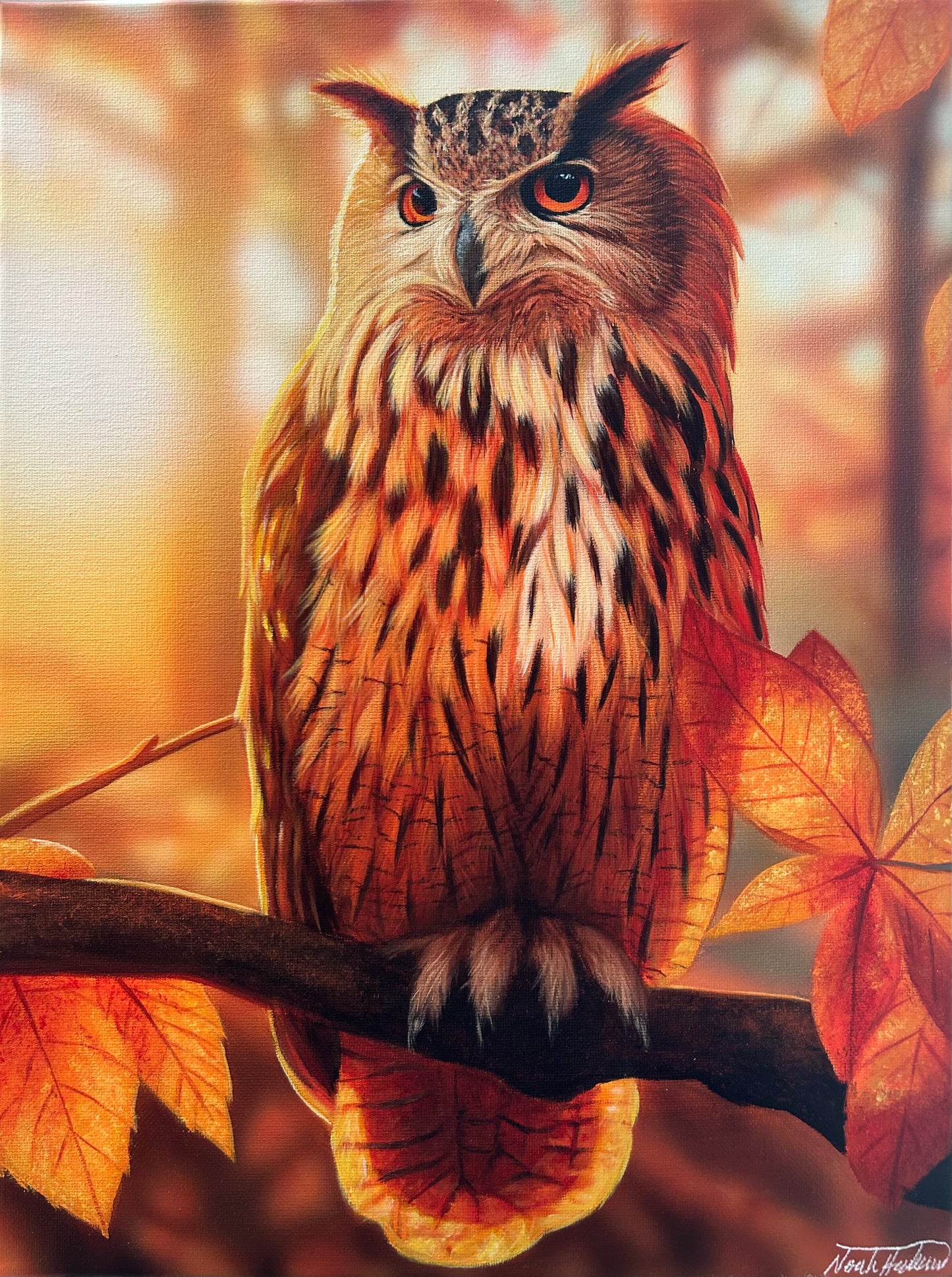 “Autumn Owl” Print