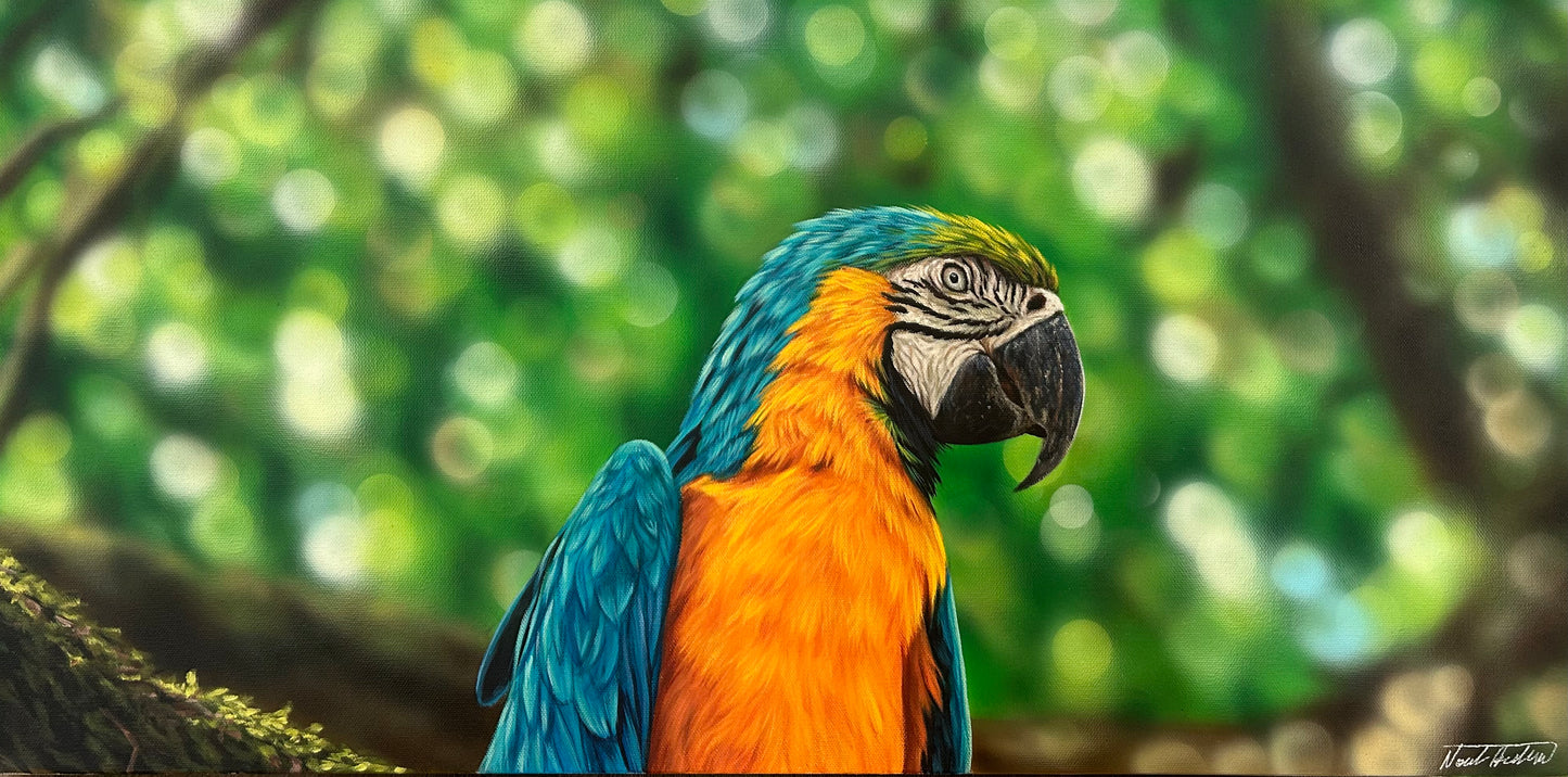 “Colors of the Macaw” Original Painting