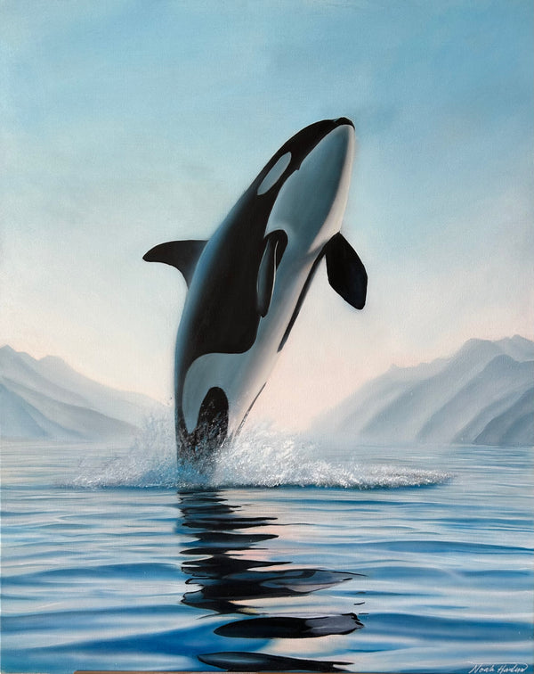 “Leaping Orca” Original Painting