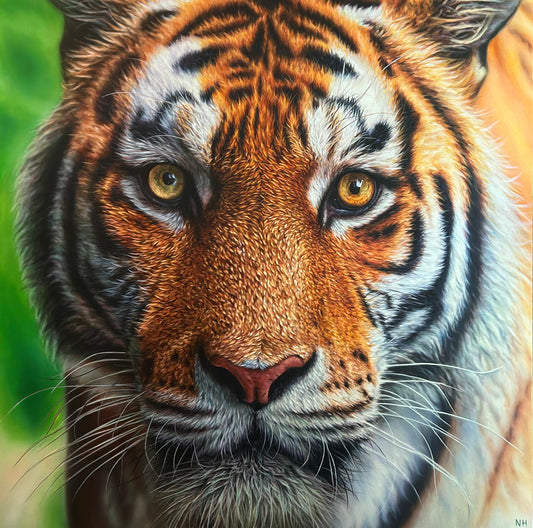 "Tigers Stare" Original Painting