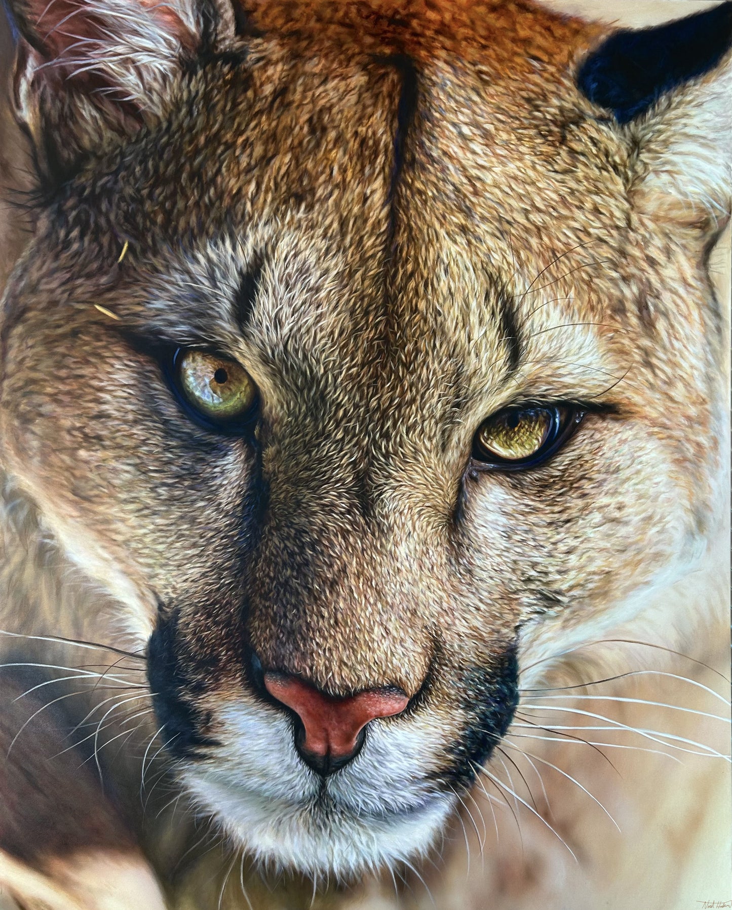 “Gaze of the Puma” Original Painting