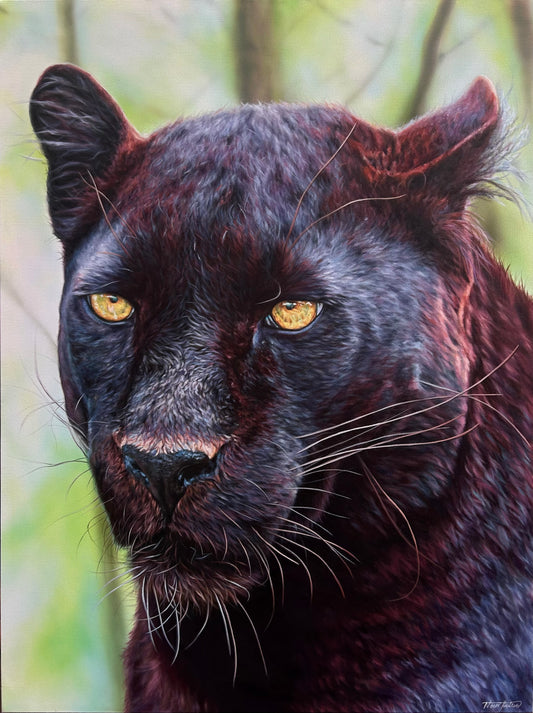 “Colors of the Black Leopard” Original Painting