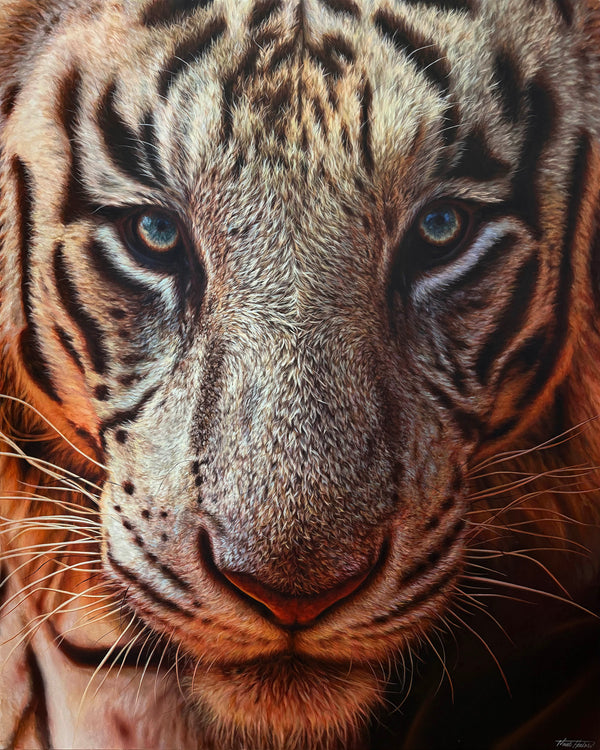 "Gaze of Color" Original Painting