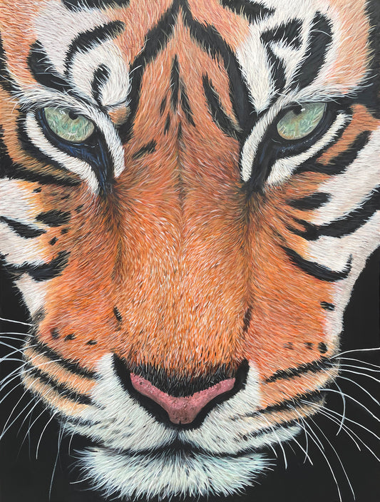Eyes of the Tiger 11x14 in Print